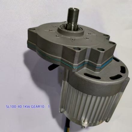24V/48V gear motor gear ration 10:1  1000W