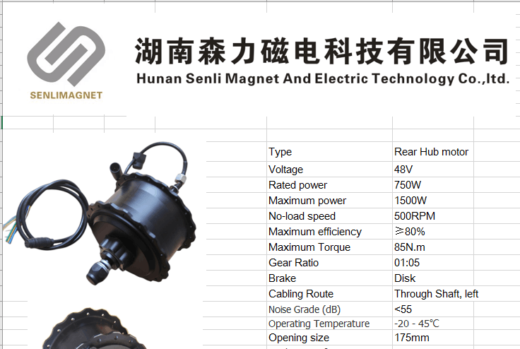 Rear Hub motor 750W