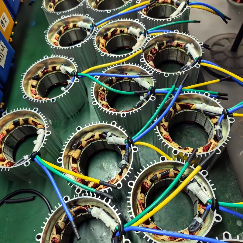 36V-60V Mower motor in batch