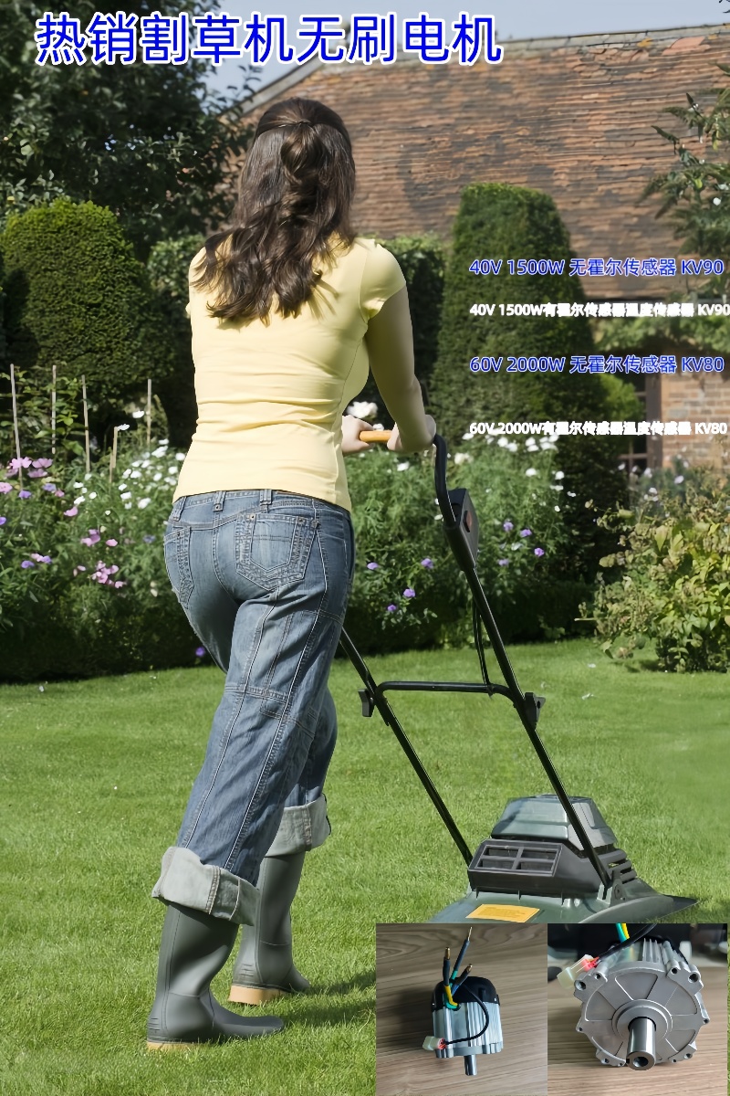 48V/60V BLDC motor with Hall and Temo sensors for RC mower 48V/60V BLDC motor with Hall and Temo sensors for RC mower