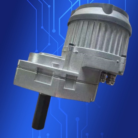 GEAR MOTOR 24V/48V 700W 1400W 80 RPM