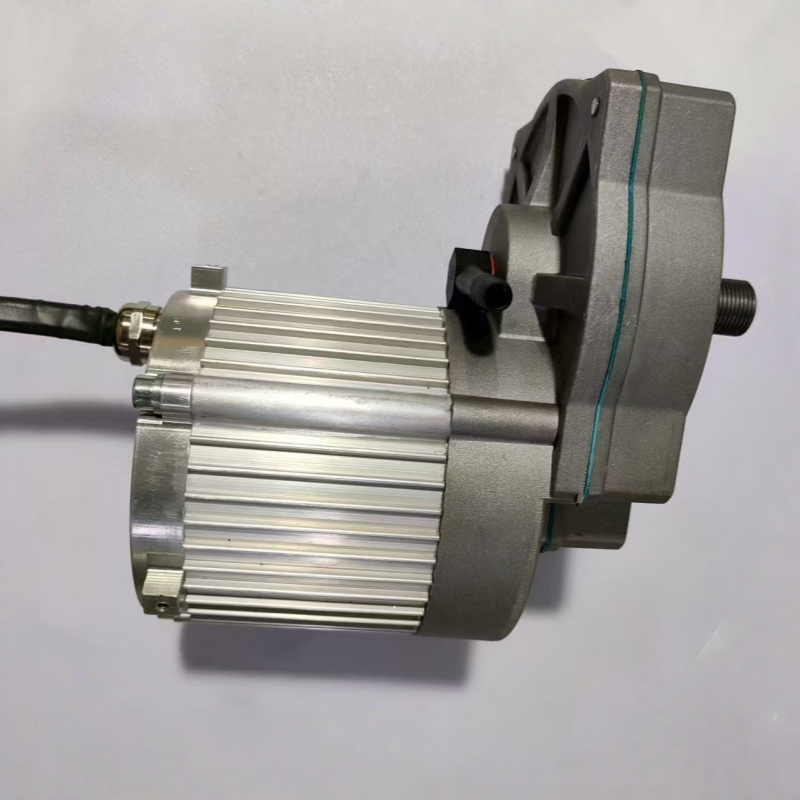 24V/48V gear motor gear ration 10:1 1000W 24V/48V gear motor gear ration 10:1 1000W
