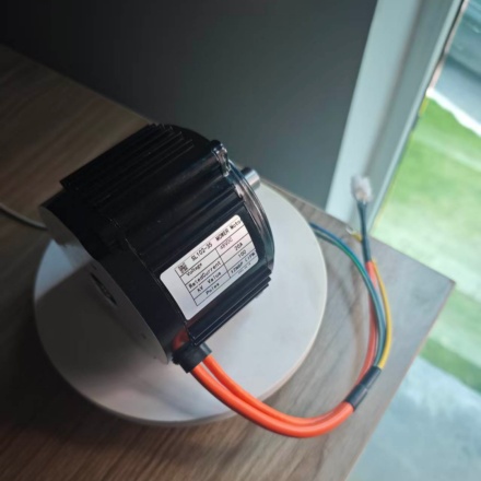 SL102-35 48V 800W PMSM motor for Ebike