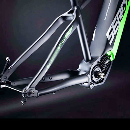 Ebike Frame