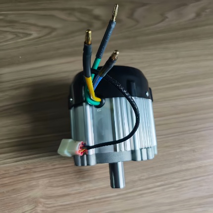 48V/60V BLDC motor with Hall and Temo sensors for RC mower