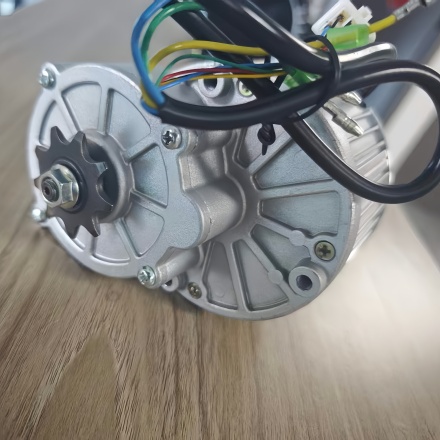 36V 500W Gear motor for Ebike 